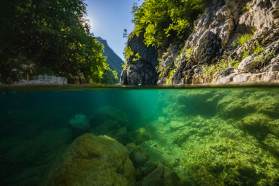 Komarnica underwater: a cold kaleidoscope full of life